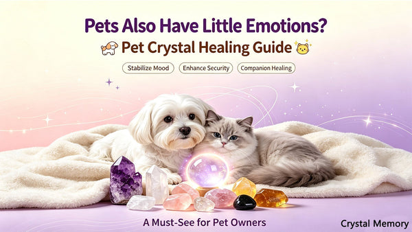 How to Choose Crystal Healing Jewellery for Your Pet