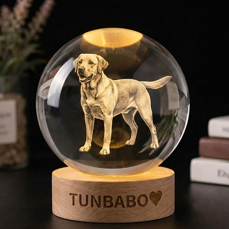 Custom 3D Crystal Photo Engraving with LED Light Base – Personalized Pet Memorial Keepsake