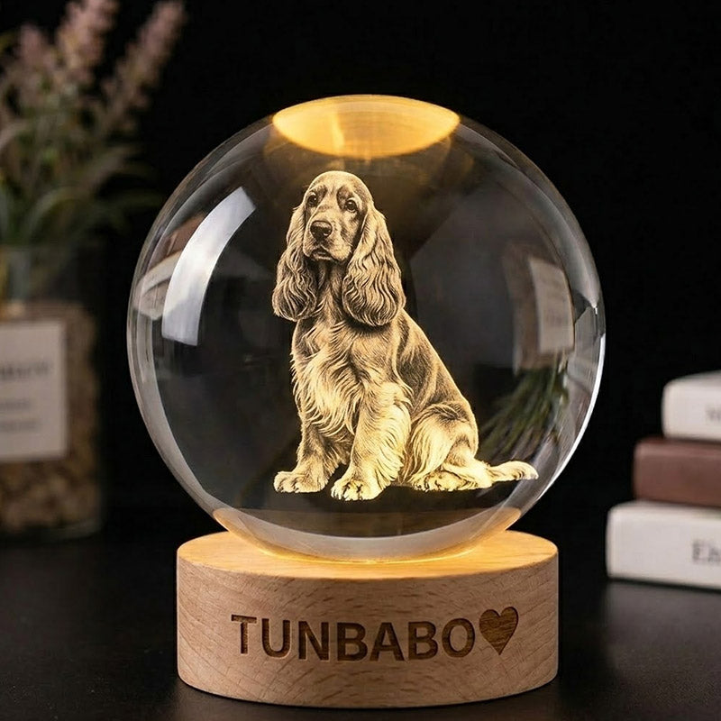 Custom 3D Crystal Photo Engraving with LED Light Base – Personalized Pet Memorial Keepsake