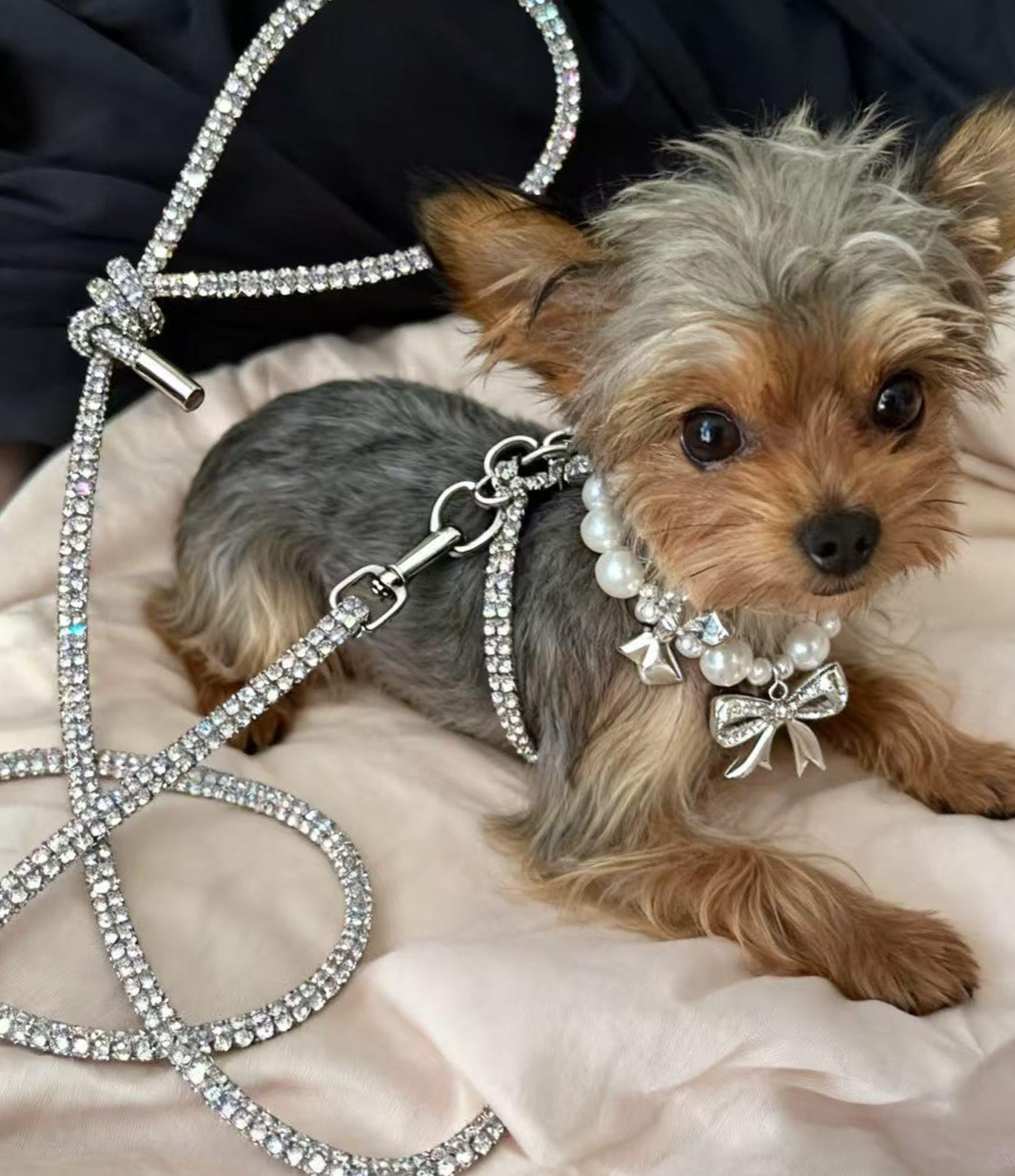 From our hands to your hearts  | The beauty of handwoven pet leashes