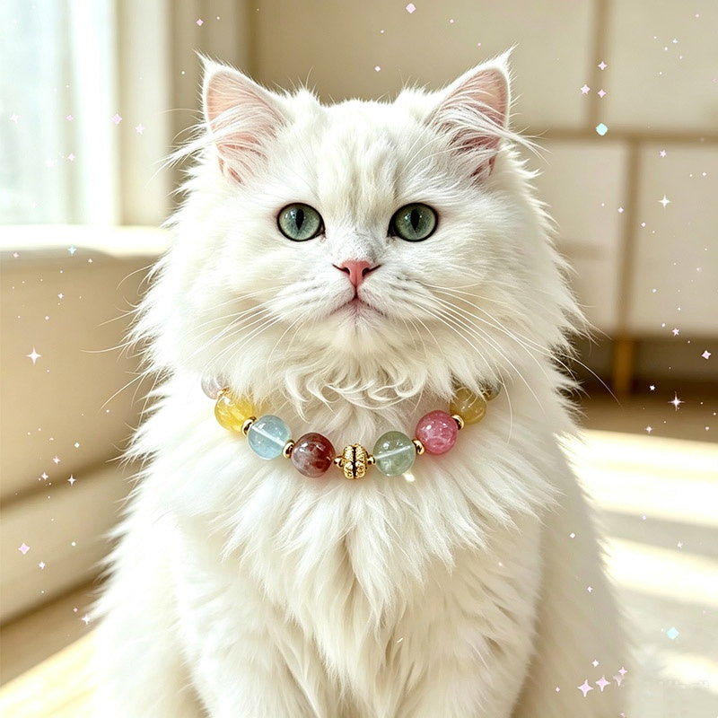 Healing Crystal Pet Collar Custom & Matching Owner Bracelet