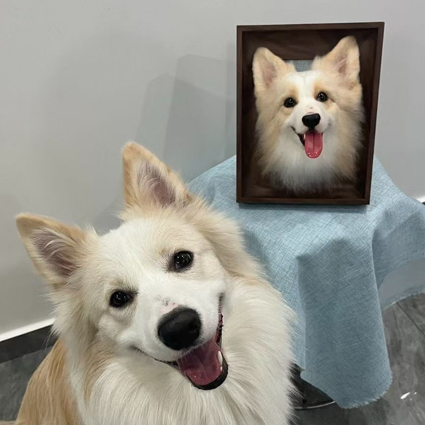 3d customized pet photo