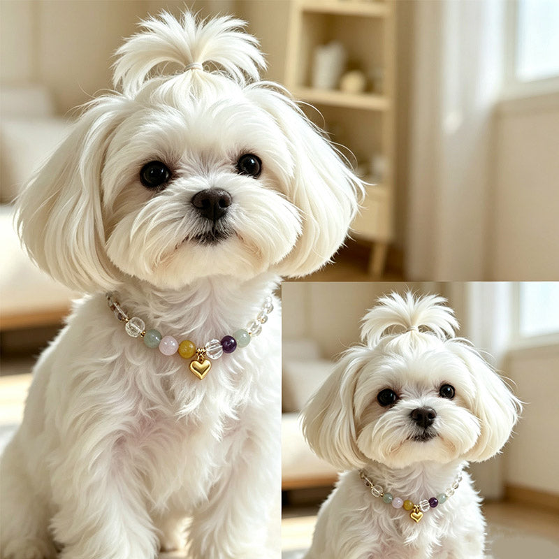 Matching Pet & Owner Crystal Jewelry Set – Multi-Gemstone Healing Collar for Dogs & Cats