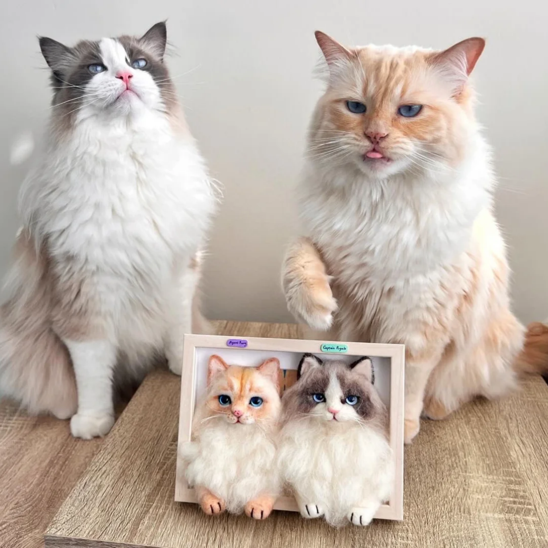 3D Custom Stuffed Animals From Picture - Lifelike Full Body Pet Portraits